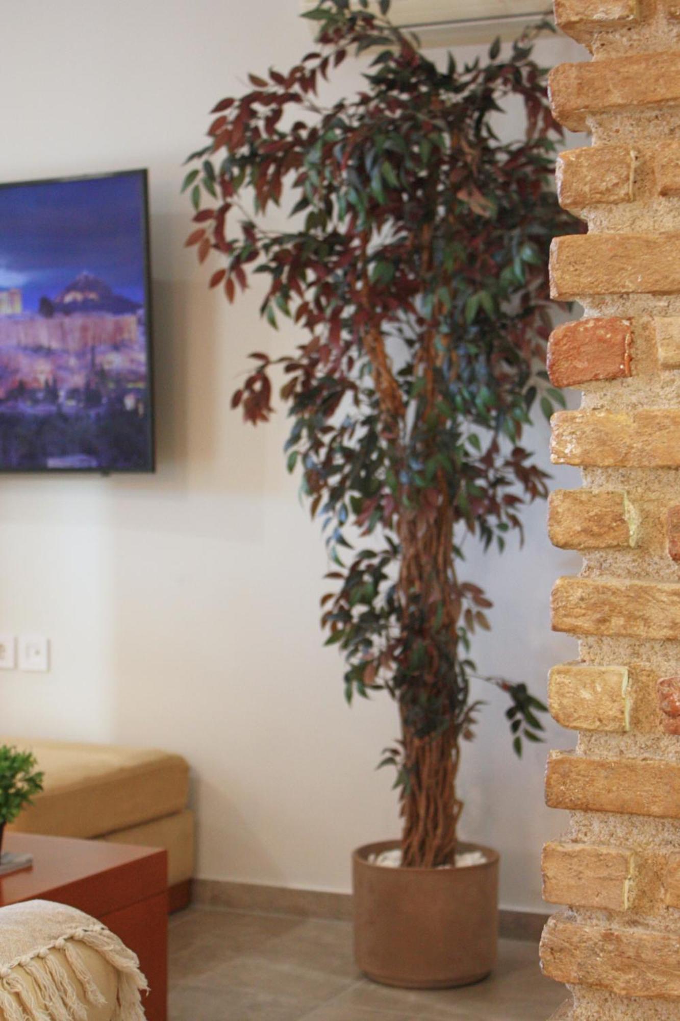 Camara Suite Kos Town Exterior photo